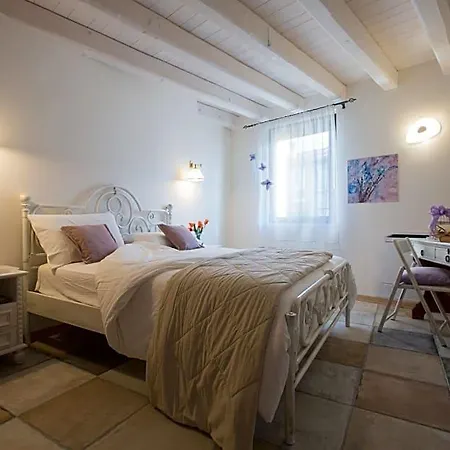Edera Dei Guatto Bertiolo