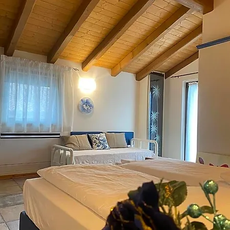 Edera Dei Guatto 3*